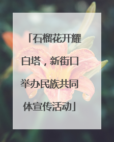 石榴花开耀白塔，新街口举办民族共同体宣传活动