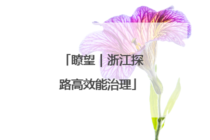 瞭望｜浙江探路高效能治理