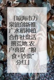 琼海市万泉镇创新推广水稻种植合作社盘活撂荒地 农户喜提“粮食+钞票”分红