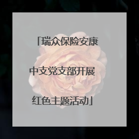 瑞众保险安康中支党支部开展红色主题活动