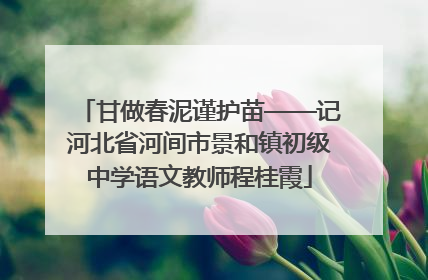 甘做春泥谨护苗——记河北省河间市景和镇初级中学语文教师程桂霞