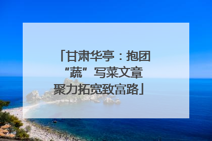 甘肃华亭：抱团“蔬”写菜文章 聚力拓宽致富路