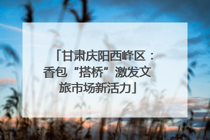 甘肃庆阳西峰区：香包“搭桥”激发文旅市场新活力