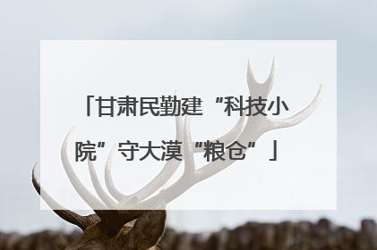 甘肃民勤建“科技小院”守大漠“粮仓”