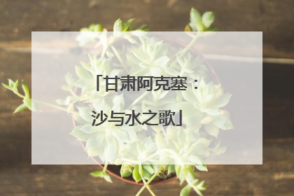 甘肃阿克塞：沙与水之歌