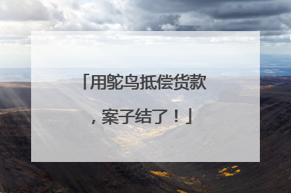 用鸵鸟抵偿货款，案子结了！