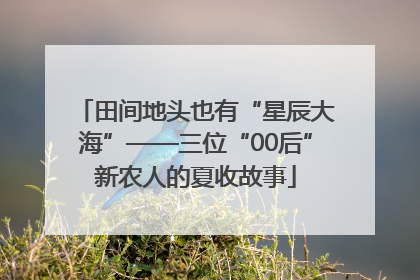 田间地头也有“星辰大海”——三位“00后”新农人的夏收故事
