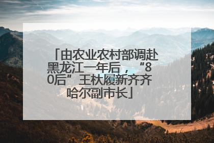 由农业农村部调赴黑龙江一年后，“80后”王杕履新齐齐哈尔副市长