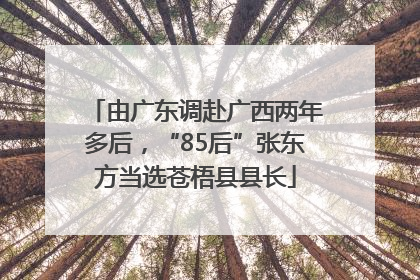 由广东调赴广西两年多后，“85后”张东方当选苍梧县县长