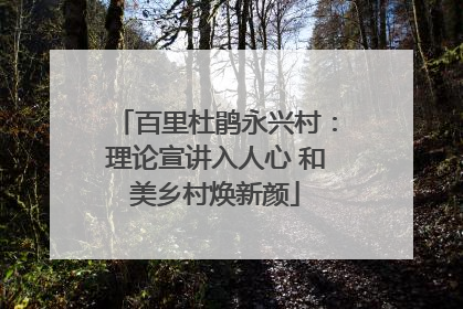 百里杜鹃永兴村：理论宣讲入人心 和美乡村焕新颜