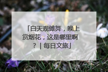 白天观傩舞，晚上赏烟花，这是哪里啊？｜每日文旅