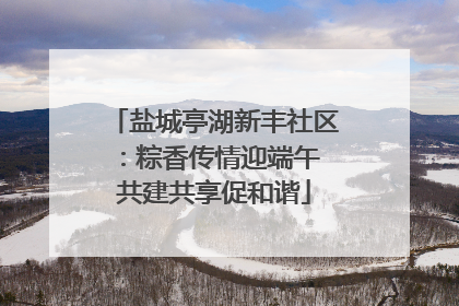 盐城亭湖新丰社区：粽香传情迎端午 共建共享促和谐