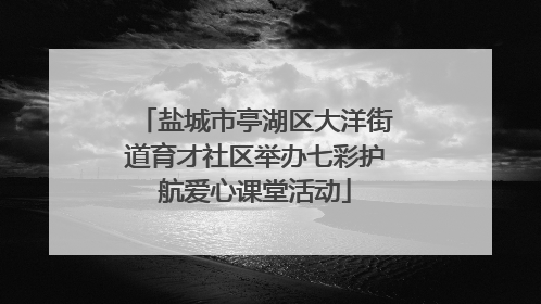 盐城市亭湖区大洋街道育才社区举办七彩护航爱心课堂活动