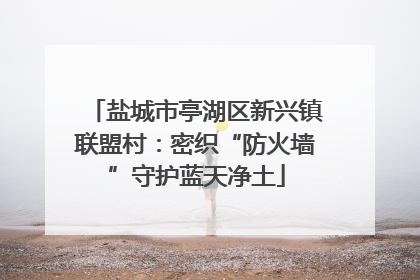 盐城市亭湖区新兴镇联盟村：密织“防火墙”守护蓝天净土