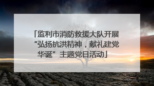 监利市消防救援大队开展“弘扬抗洪精神，献礼建党华诞”主题党日活动