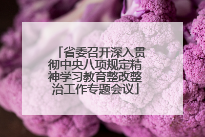 省委召开深入贯彻中央八项规定精神学习教育整改整治工作专题会议