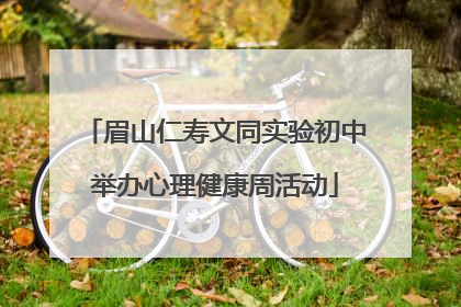 眉山仁寿文同实验初中举办心理健康周活动