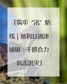筑牢“汛”防线｜慈利县通津铺镇：干群合力抗击洪灾