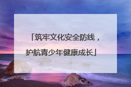 筑牢文化安全防线，护航青少年健康成长