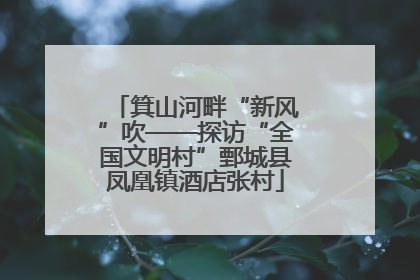 箕山河畔“新风”吹——探访“全国文明村”鄄城县凤凰镇酒店张村