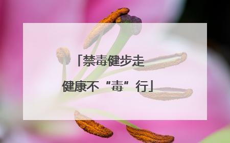 禁毒健步走  健康不“毒”行