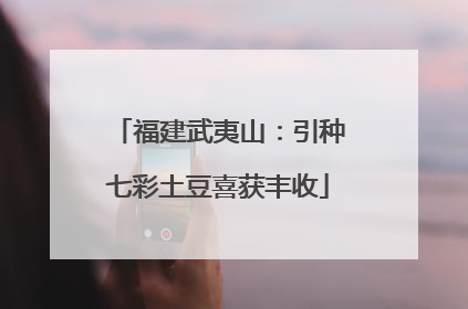 福建武夷山：引种七彩土豆喜获丰收