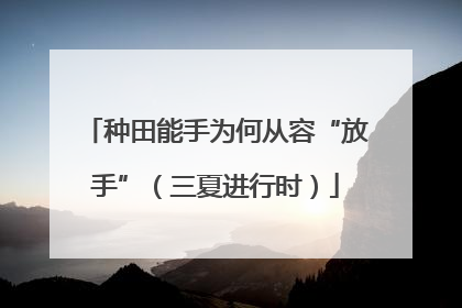 种田能手为何从容“放手”（三夏进行时）