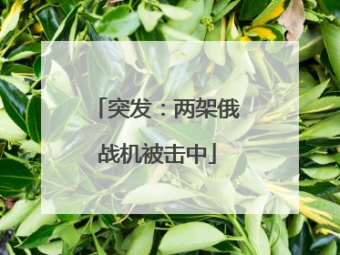 突发：两架俄战机被击中