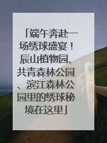 端午奔赴一场绣球盛宴！辰山植物园、共青森林公园、滨江森林公园里的绣球秘境在这里