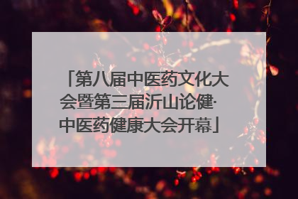 第八届中医药文化大会暨第三届沂山论健·中医药健康大会开幕