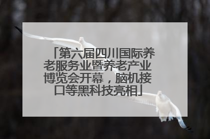 第六届四川国际养老服务业暨养老产业博览会开幕，脑机接口等黑科技亮相