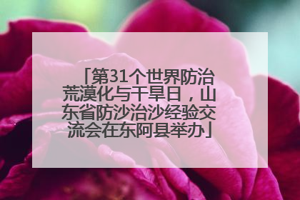 第31个世界防治荒漠化与干旱日，山东省防沙治沙经验交流会在东阿县举办