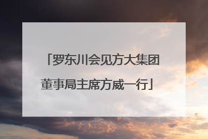 罗东川会见方大集团董事局主席方威一行