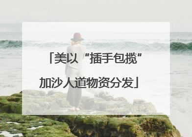 美以“插手包揽”加沙人道物资分发
