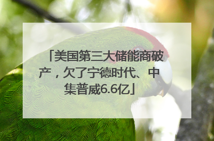 美国第三大储能商破产，欠了宁德时代、中集普威6.6亿