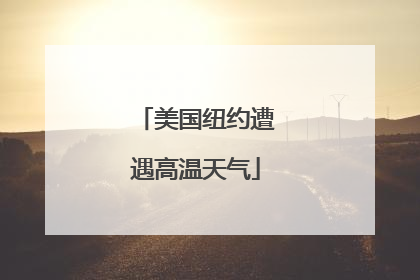 美国纽约遭遇高温天气