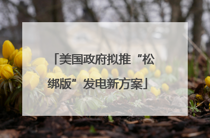 美国政府拟推“松绑版”发电新方案