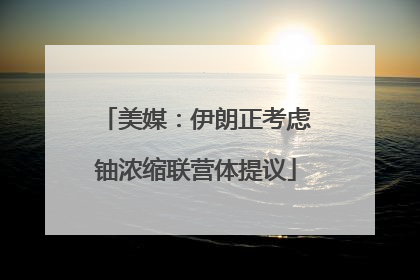 美媒：伊朗正考虑铀浓缩联营体提议