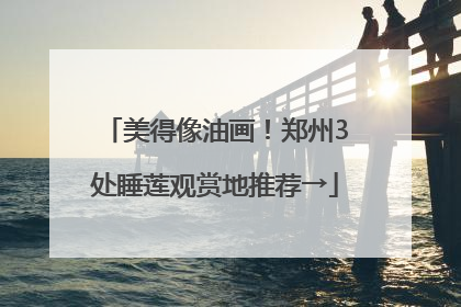 美得像油画！郑州3处睡莲观赏地推荐→