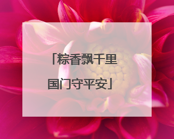 粽香飘千里 国门守平安