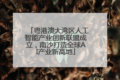 粤港澳大湾区人工智能产业创新联盟成立，南沙打造全球AI产业新高地