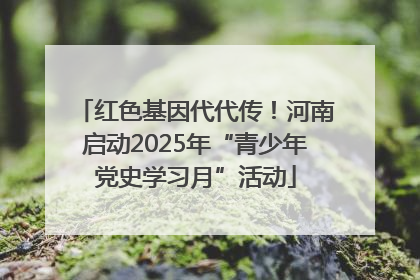 红色基因代代传！河南启动2025年“青少年党史学习月”活动