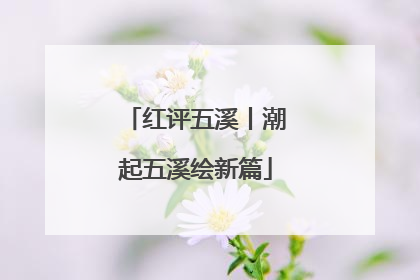 红评五溪丨潮起五溪绘新篇