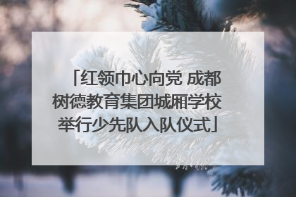红领巾心向党 成都树德教育集团城厢学校举行少先队入队仪式