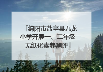 绵阳市盐亭县九龙小学开展一、二年级无纸化素养测评