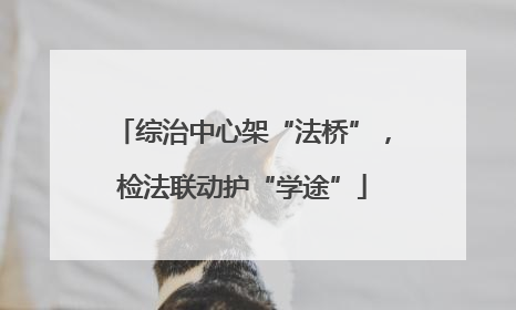 综治中心架“法桥”，检法联动护“学途”