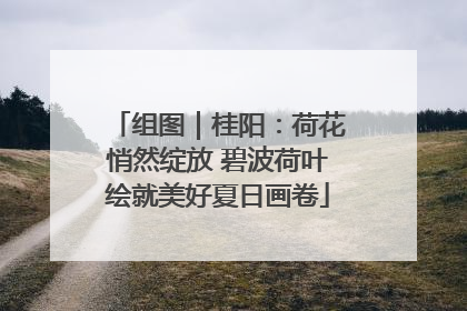 组图｜桂阳：荷花悄然绽放 碧波荷叶绘就美好夏日画卷