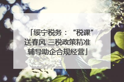 绥宁税务：“税课”送春风 三税政策精准辅导助企合规经营