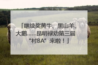 继续奖黄牛、黑山羊、大鹅……昆明禄劝第三届“村BA”来啦！