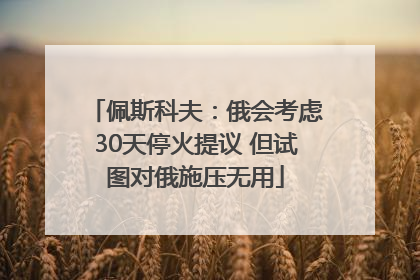 佩斯科夫：俄会考虑30天停火提议 但试图对俄施压无用
